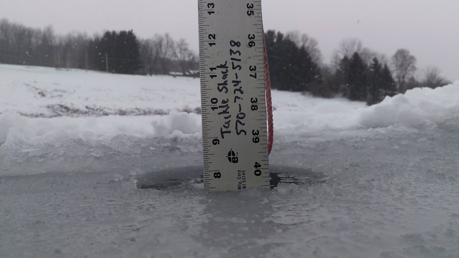 1/31/17 Tioga County Ice Update.  Hamilton Lake, Beechwood Lake, Hills Creek Lake